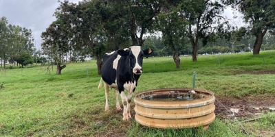 Pegada hídrica desafia produção de leite e exige novas estratégias no campo