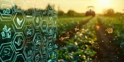 Do campo à gestão: o papel do S&OP na nova fase do agronegócio brasileiro