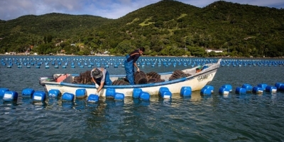 CNA destaca aprovação do PL que dá segurança jurídica à aquicultura