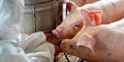 Keysuke Muramatsu discute eficiência na fabricação de ração na 36ª Reunião Anual do CBNA