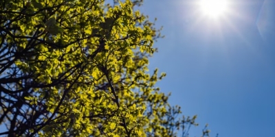 Nordeste segue sem alertas climáticos, mas litoral ainda pode registrar chuva fraca nos próximos dias