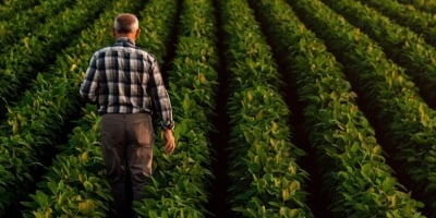 Endividamento de R$ 10,8 bi coloca agro do Paraná em risco, alerta Sistema FAEP