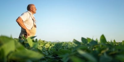 Indenizações do seguro de vida ao produtor rural avançam mais de 1.000% no Espírito Santo em 2026