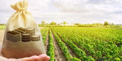 O campo evoluiu mais rápido do que o sistema de crédito brasileiro