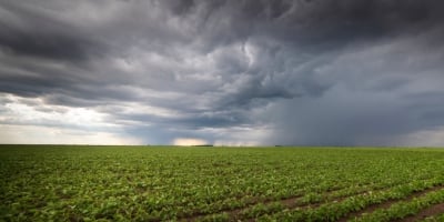 Alerta Climático e Custos Altos Elevam Pressão na Safra 26/27