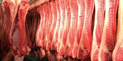 Exportações de carne suína registram recorde histórico para maio, aponta Cepea
