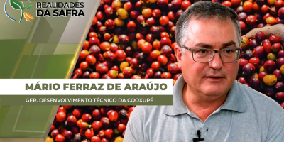 Colheita do café chega a quase 16% nas áreas da Cooxupé, mas clima pode atrapalhar andamento do manejo
