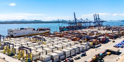 Porto de Paranaguá amplia liderança nas exportações de frango e concentra quase metade do embarque nacional