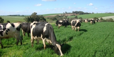 GERAR Leite, registra avanço da taxa de prenhez média de  36,7% para 39,4% em vacas leiteiras