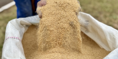 Cargill e Conab lançam programa “Mais Farelo - Soja” para pequenos e médios produtores no DF