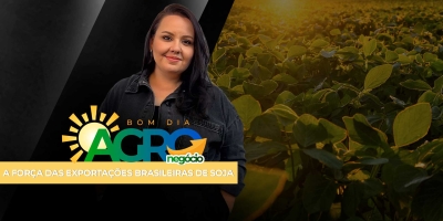 Negociações sobre o PL do endiviamento, vésperas do Plano Safra e altas da soja na Bolsa de Chicago nesta 3ª feira