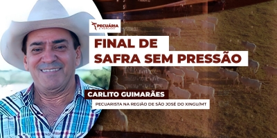 Pressão de oferta no final de safra pode ser amenizada pelas boas condições das pastagens no Centro-Norte do país