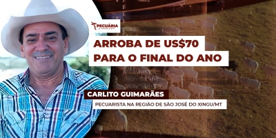 Pecuarista acredita em arroba em alta ainda neste mês, com movimento atingindo US$70 no final do ano