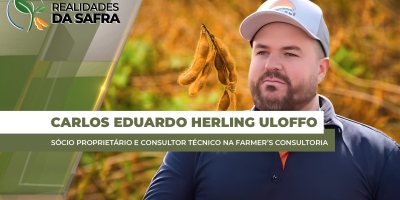 Maringá/PR fechou safra de soja com perda de produtividade e já enfrenta dificuldades no milho