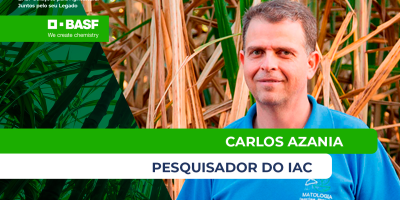 Infestação de grama-seda e capim-camalote se intensifica e exige manejo mais rigoroso nos canaviais