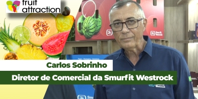 Escolha correta da embalagem pode ser a diferença entre qualidade e perdas no mercado de hortifrutis