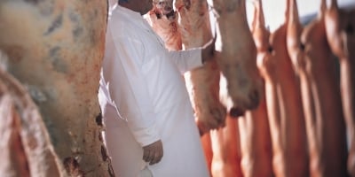 Exportações de carne suína recuam em volume e receita diária, mas preço por tonelada sobe 9% em julho/25