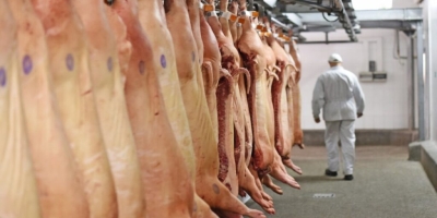 Suinocultura global: alta dos grãos eleva custo da ração na China e aprofunda crise de rentabilidade