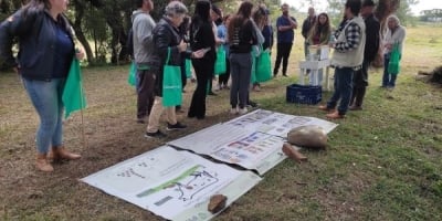 Controle do carrapato é um desafio para a pecuária gaúcha