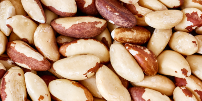 Abertura de mercado para castanha-do-Brasil para a Turquia