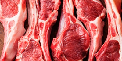 Apesar do protecionismo, crise sanitária e encolhimento do rebanho devem forçar Europa a importar mais carne do Brasil