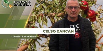 Colheita da maçã deverá ter 30% mais produção do que o registrado em 2025