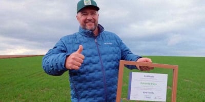 Milho brasileiro atinge novo patamar de produtividade e supera 369 sacas por hectare