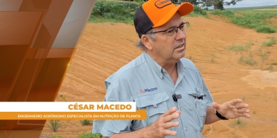 Argila amarela do norte do Pará é terra rara na produção de grãos