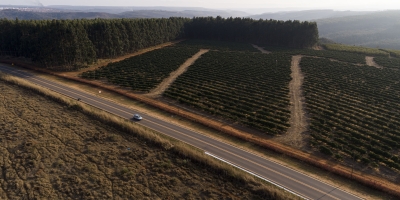 Cafés da Região da Chapada de Minas conquistam Indicação Geográfica