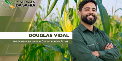 Algodão e Milho de segunda safra no MT passam por momentos distintos