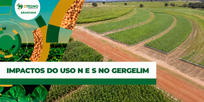 Uso de Nitrogeneo e Enxofre para potencializar produtividade do gergelim em solos com baixa materia organica