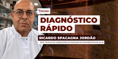 O esforço brasileiro para erradicar a Brucelose e a Tuberculose Bovina nos rebanhos