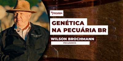 Como o selecionamento genético do rebanho tem impactado nos resultados da pecuária brasileira