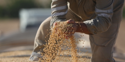 China e Brasil se encontram nos próximos dias para discutir inspeção da soja em meio a liquidez reduzida do mercado
