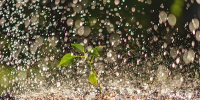 Novembro pode surpreender com mais chuva no Centro-Oeste e Sudeste, aponta meteorologista