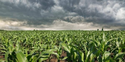 Chuva avança pelo Sul enquanto ar seco mantém alerta para o campo no restante do Brasil