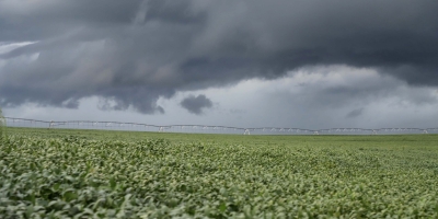 Chuva e temporais voltam ao Sul nesta semana e exigem atenção do produtor