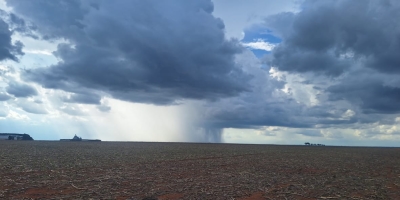 Notícias Agrícolas encontra diferentes largadas em MT: de lavouras mirando 80 sc/ha a plantio parado por falta de chuva