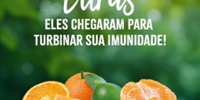 IFPA lança campanha nacional para incentivar consumo de frutas cítricas