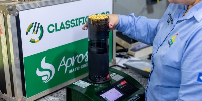 Classificador Legal auxilia produtores no diagnóstico de grãos ardidos e reforça manejo fitossanitário em Mato Grosso