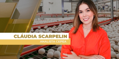 Exportações de ovos crescem 30,9% em janeiro e receita supera US$ 6,4 milhões