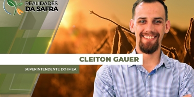 Culturas de 2ª safra se desenvolvem bem no Mato Grosso, mas contas para 2026/27 preocupam os produtores