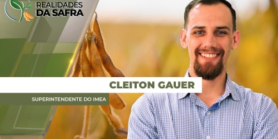 Imea destaca boas produtividades da soja no Mato Grosso, mas alerta para preocupações com a chuva