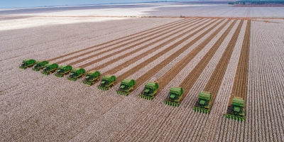 Algodão melhora margem e ganha força para recuperar área em 26/27, mas querer ampliar área não significa conseguir plantar
