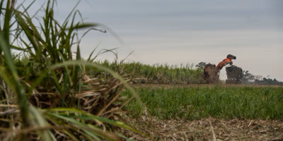 UNICA: Moagem atinge 31,11 milhões com encerramento de safra em várias regiões