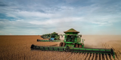 Colheita de soja em MT atinge 78,34%; plantio de milho 2ª safra vai a 81,93%, diz Imea