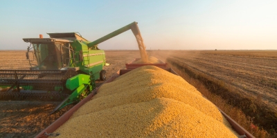 AgRural: Com MT na dianteira e PR atrasado, colheita de soja do Brasil avança para 2%