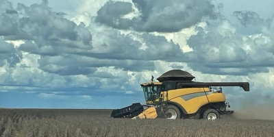Colheita do milho ganha ritmo no Mato Grosso e Goiás e já chega aos 38,9% no Brasil, aponta Conab