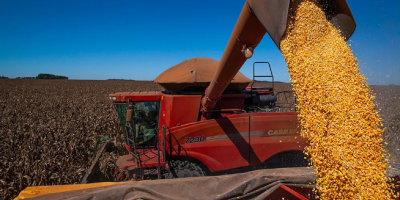 AgRural: Colheita da safrinha de milho vai a 85% no Centro-Sul; plantio de verão começa