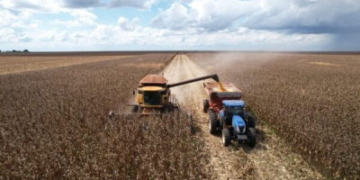 Colheita do milho segunda safra ultrapassa 99% da área em Mato Grosso, aponta Imea